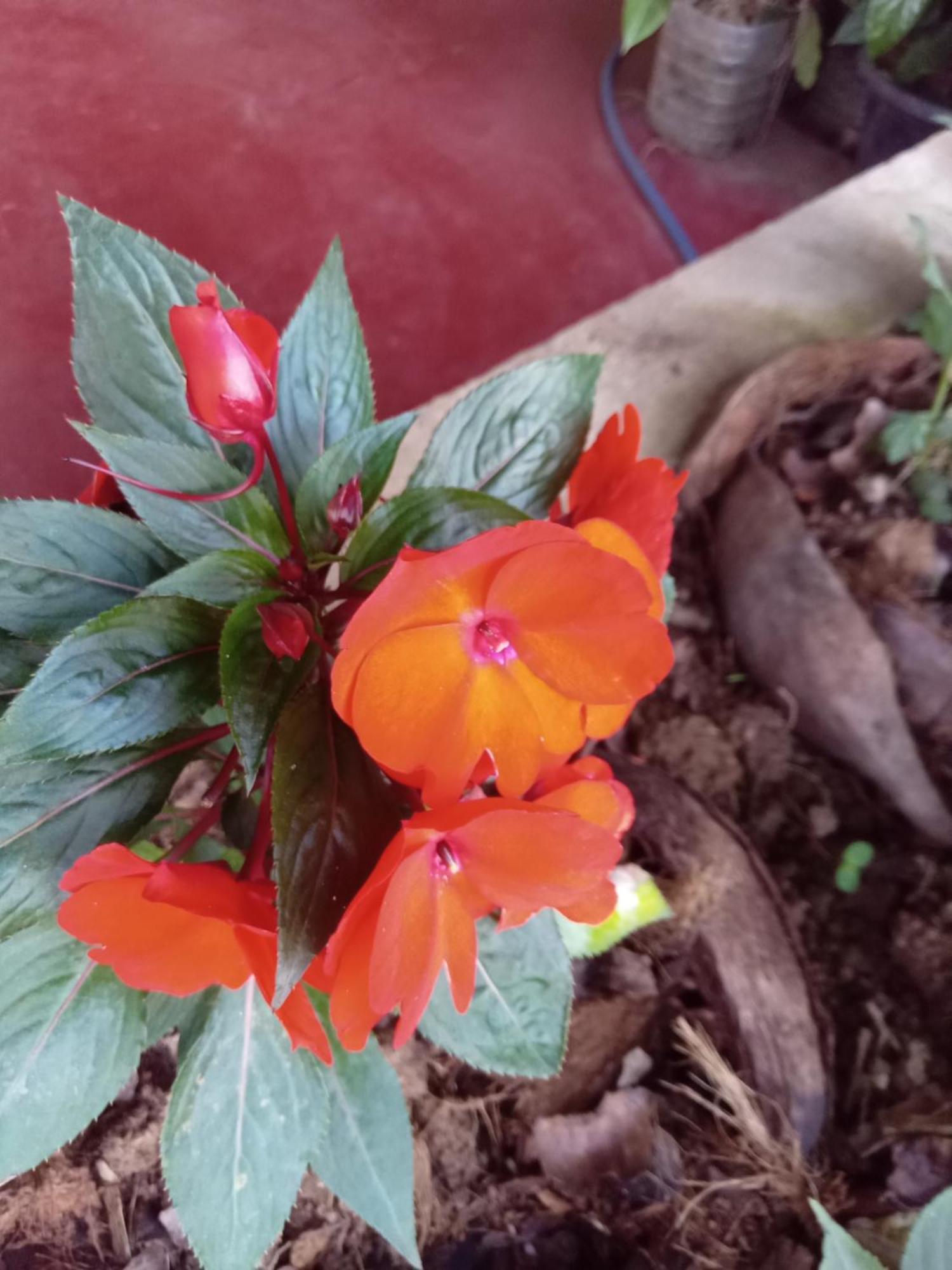 Aroma Heaven Homestay Ella Zewnętrze zdjęcie