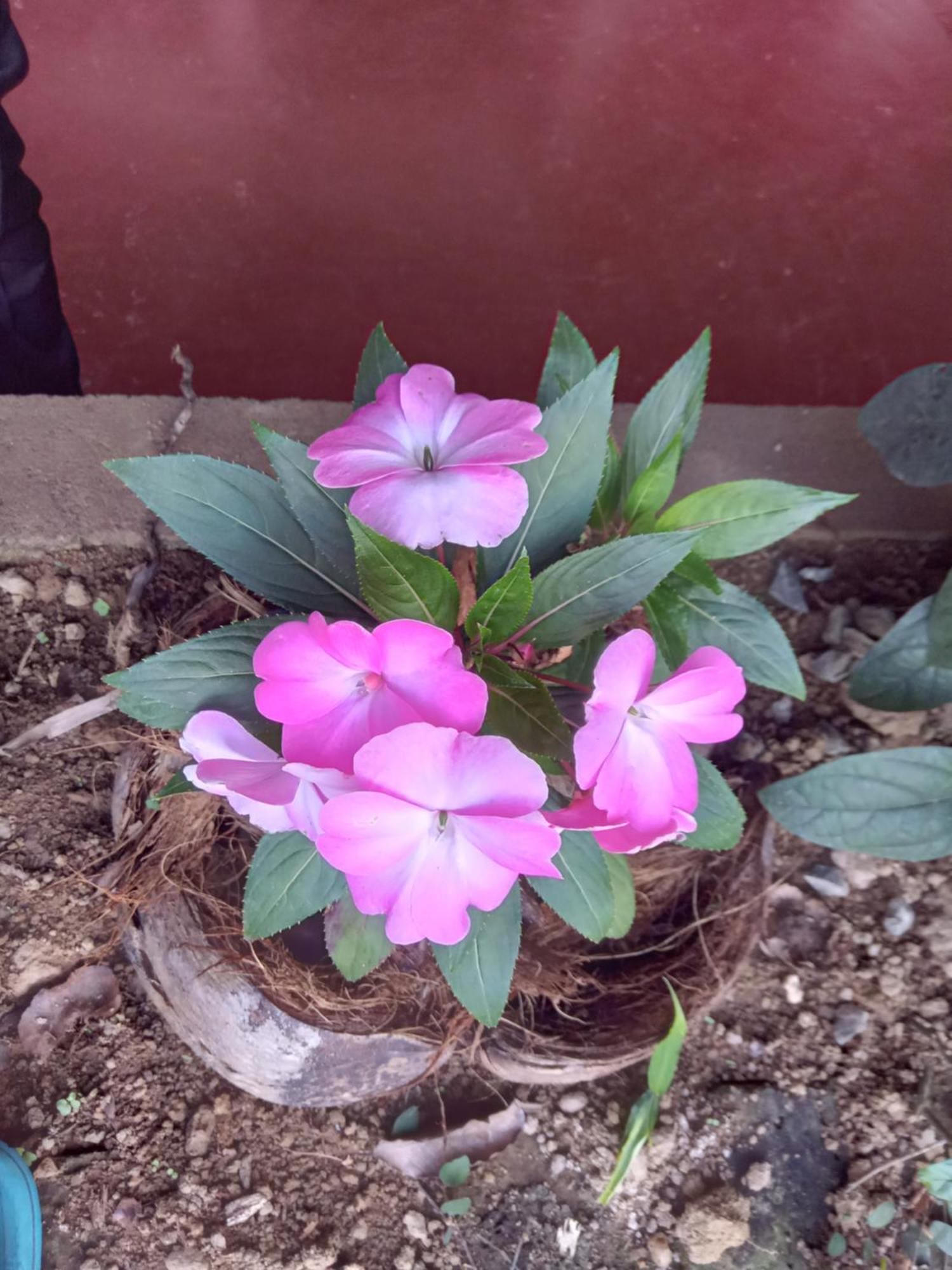 Aroma Heaven Homestay Ella Zewnętrze zdjęcie