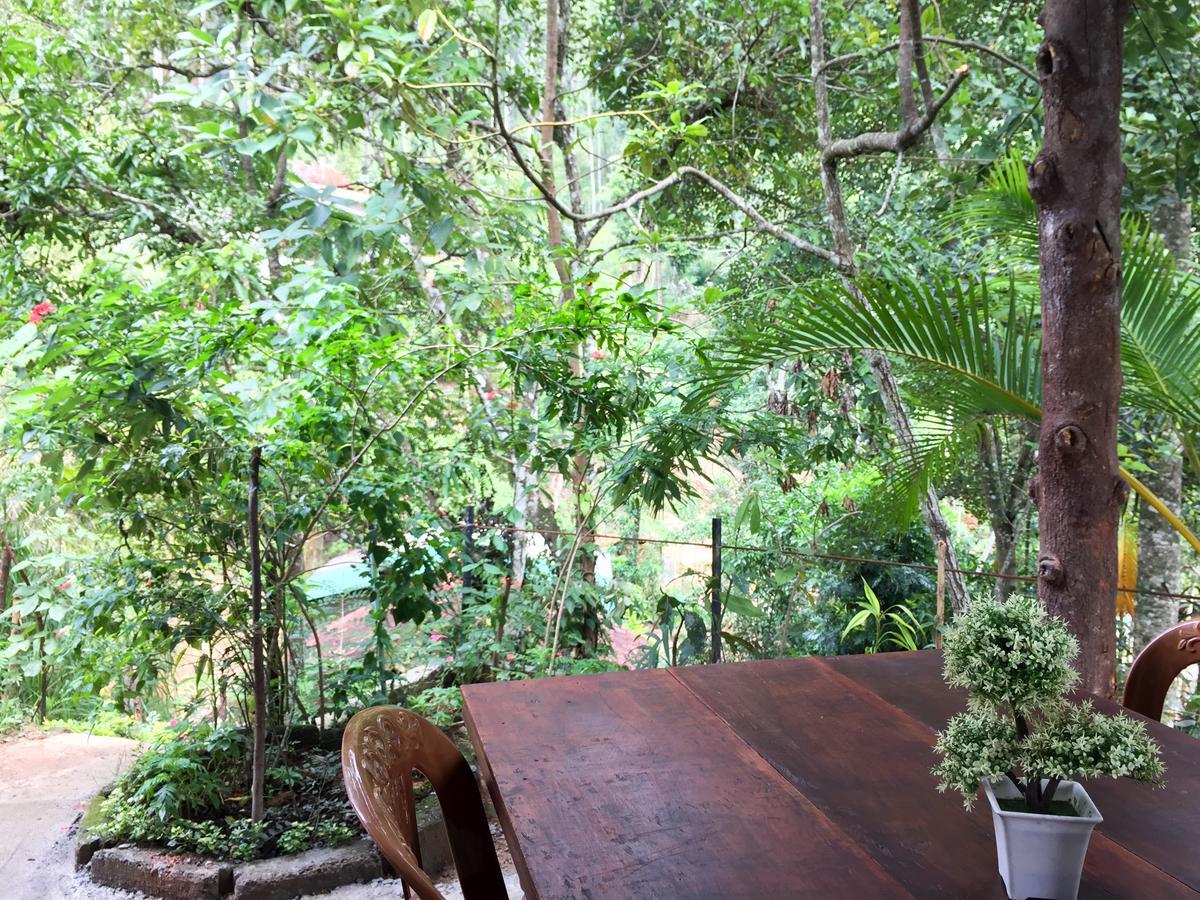 Aroma Heaven Homestay Ella Zewnętrze zdjęcie